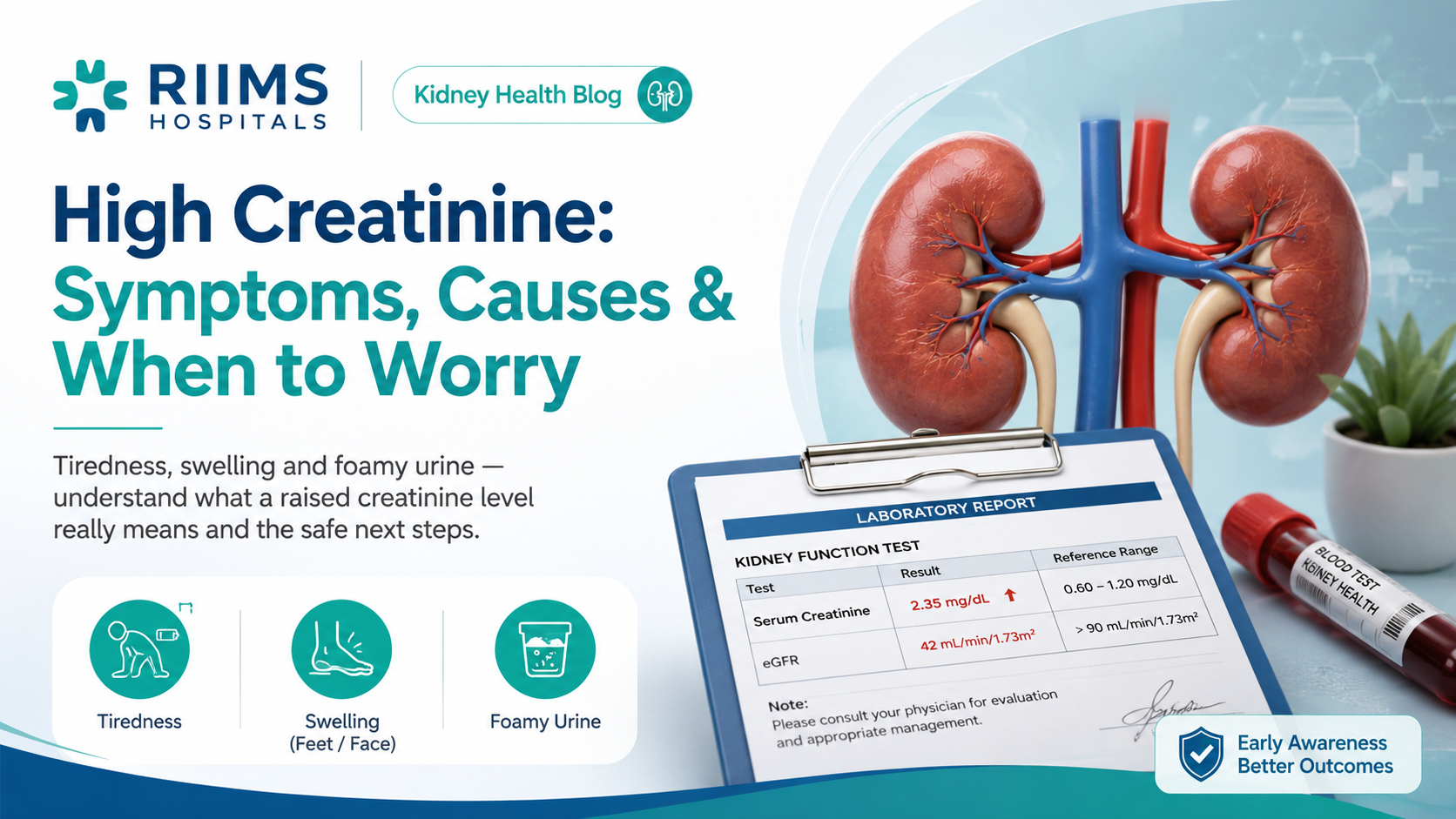 High Creatinine: Symptoms, Causes & When to Worry